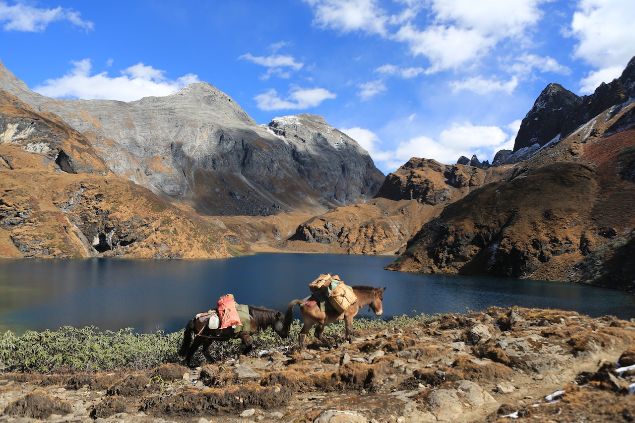 Trekking Facile