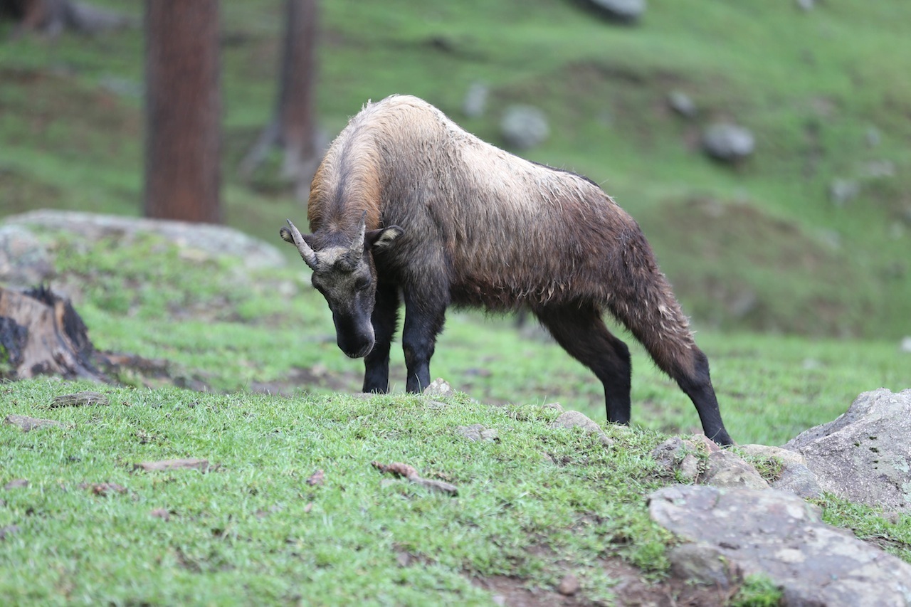 Voyage Culturel — 9 Jours